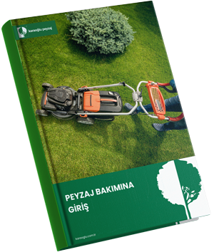 RES-ENG-Peyzaj-bakimina-giris-mockup