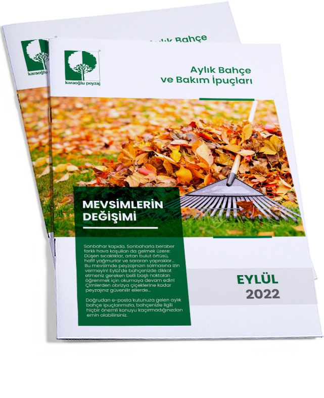 RES-TR-Eylül-mockup