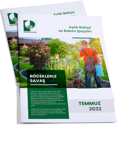 temmuz_bahce_bakım_ipuçları